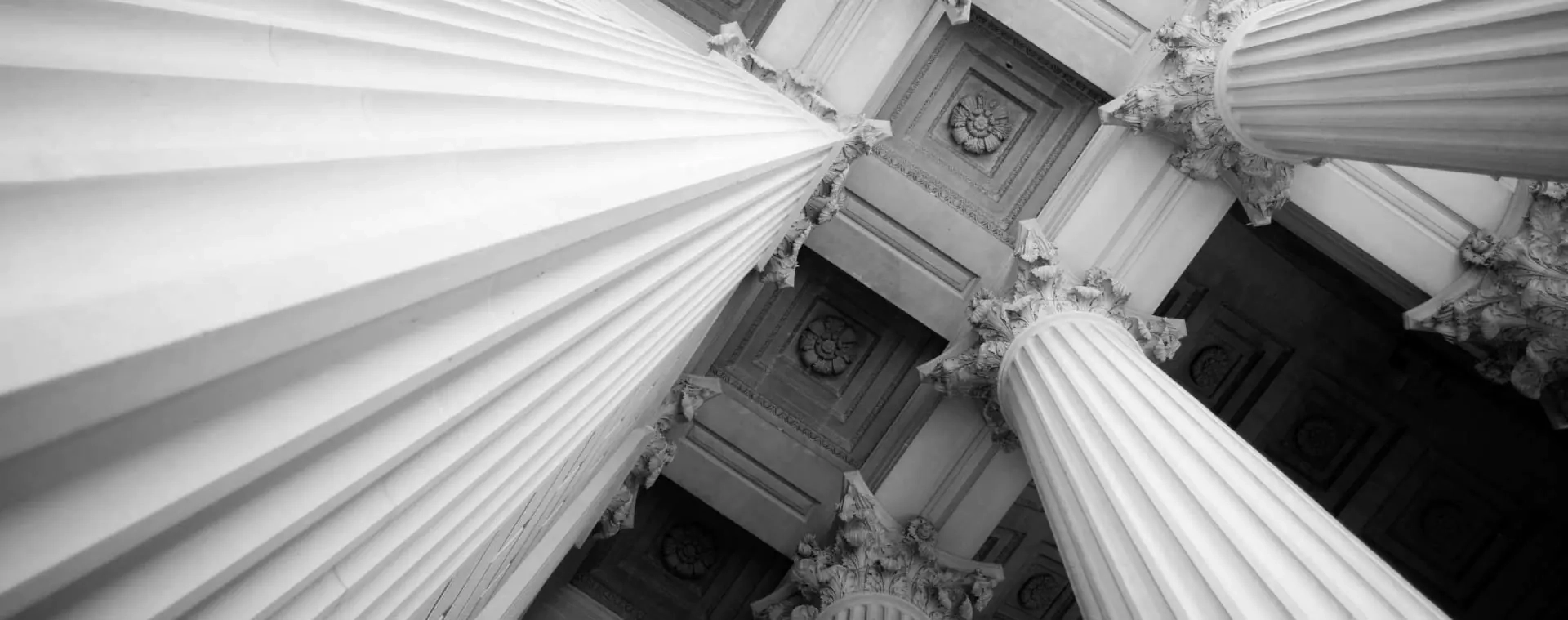 <span>Expertise multidisciplinaire </span>Pour particuliers et collectivités